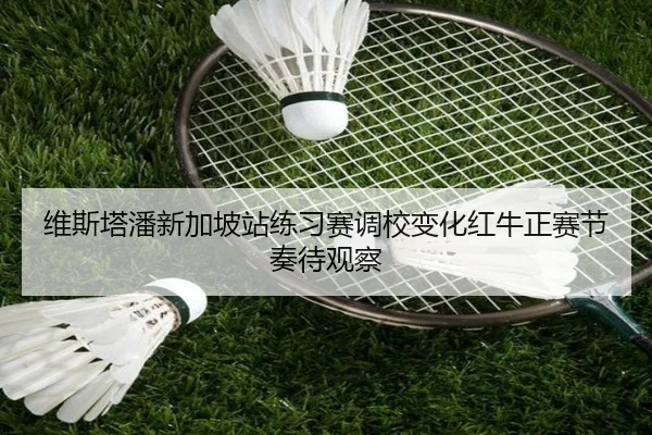 维斯塔潘新加坡站练习赛调校变化红牛正赛节奏待观察